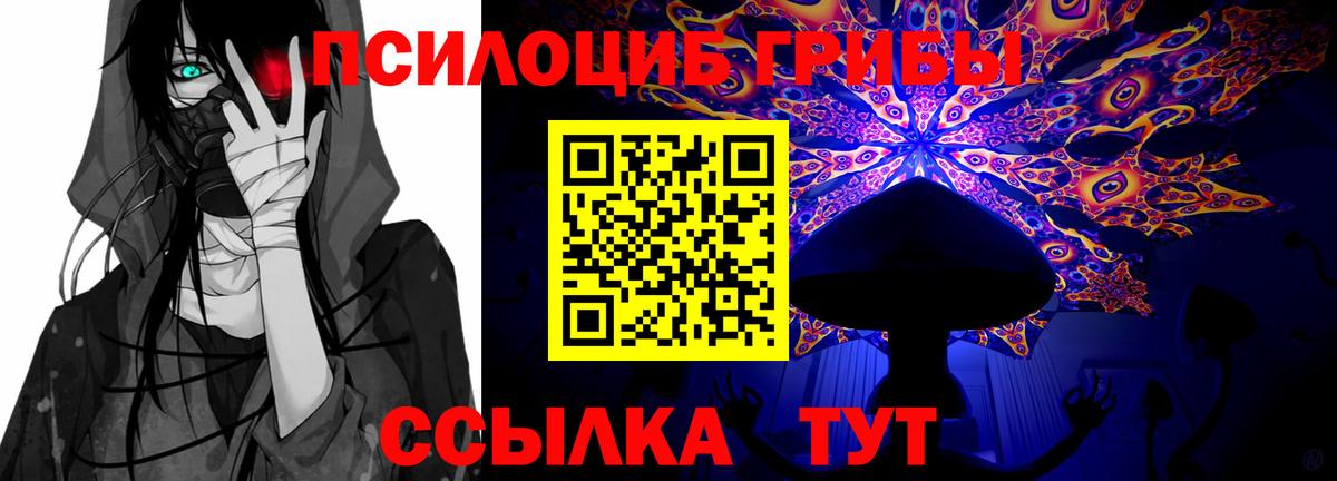 Галлюциногенные грибы Psilocybine cubensis  Вход с VPN  Людиново 
